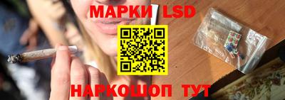 a pvp Гатчина