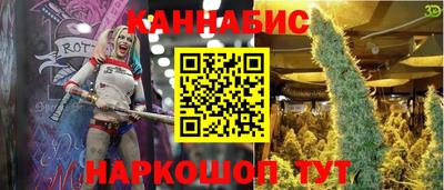 индика Гай