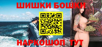 индика Гай