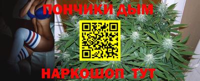 индика Гай