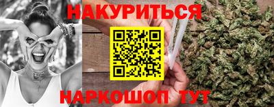 индика Гай