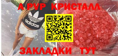 индика Гай