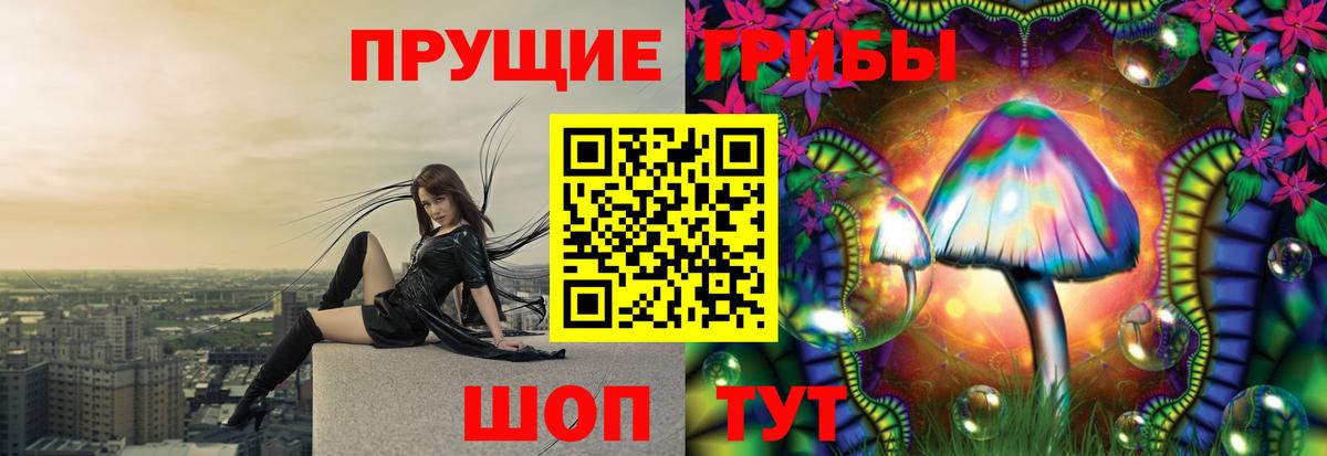 Псилоцибиновые грибы Psilocybe  Псилоцибиновые грибы ЛСД  Вязники  Вход с VPN 