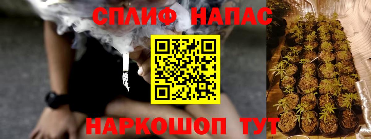 Конопля MAZAR Вязники